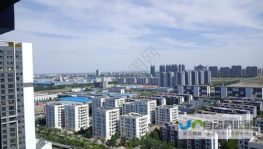 东营网站SEO服务：专业策略，助力企业线上发展