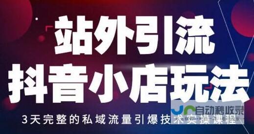 打造引爆流量的娱乐网站：从零开始构建您的数字王国