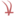 antopt