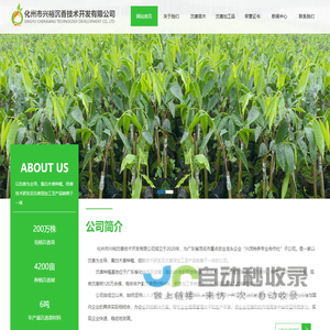 化州市兴裕沉香技术开发有限公司
