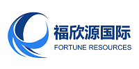 福欣源（上海）国际货运代理有限公司-一般项目:航空国际货物运输代理;陆路国际货物运输代理;海上国际货物运输代理;无船承运业务;报关业务;报检业务;国际货物运输代理。